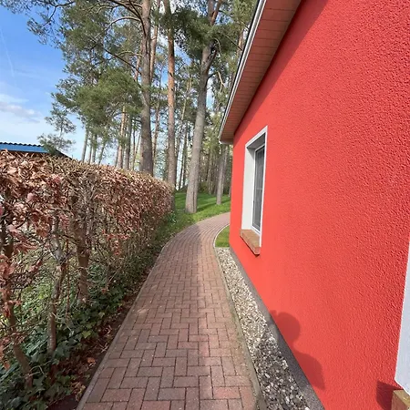 Küstenferienhaus Nr. 91/92 *